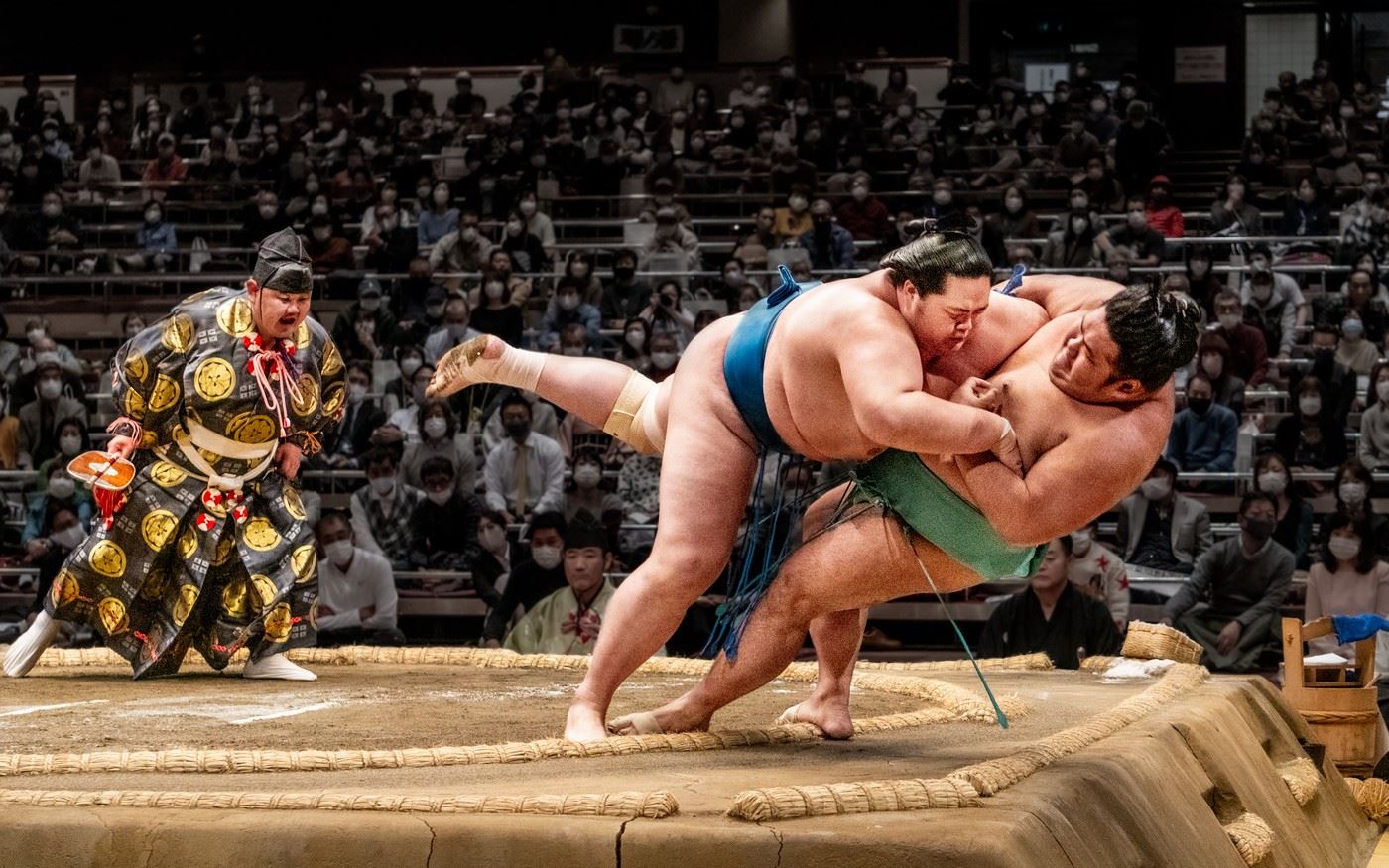 Sumo v akci.