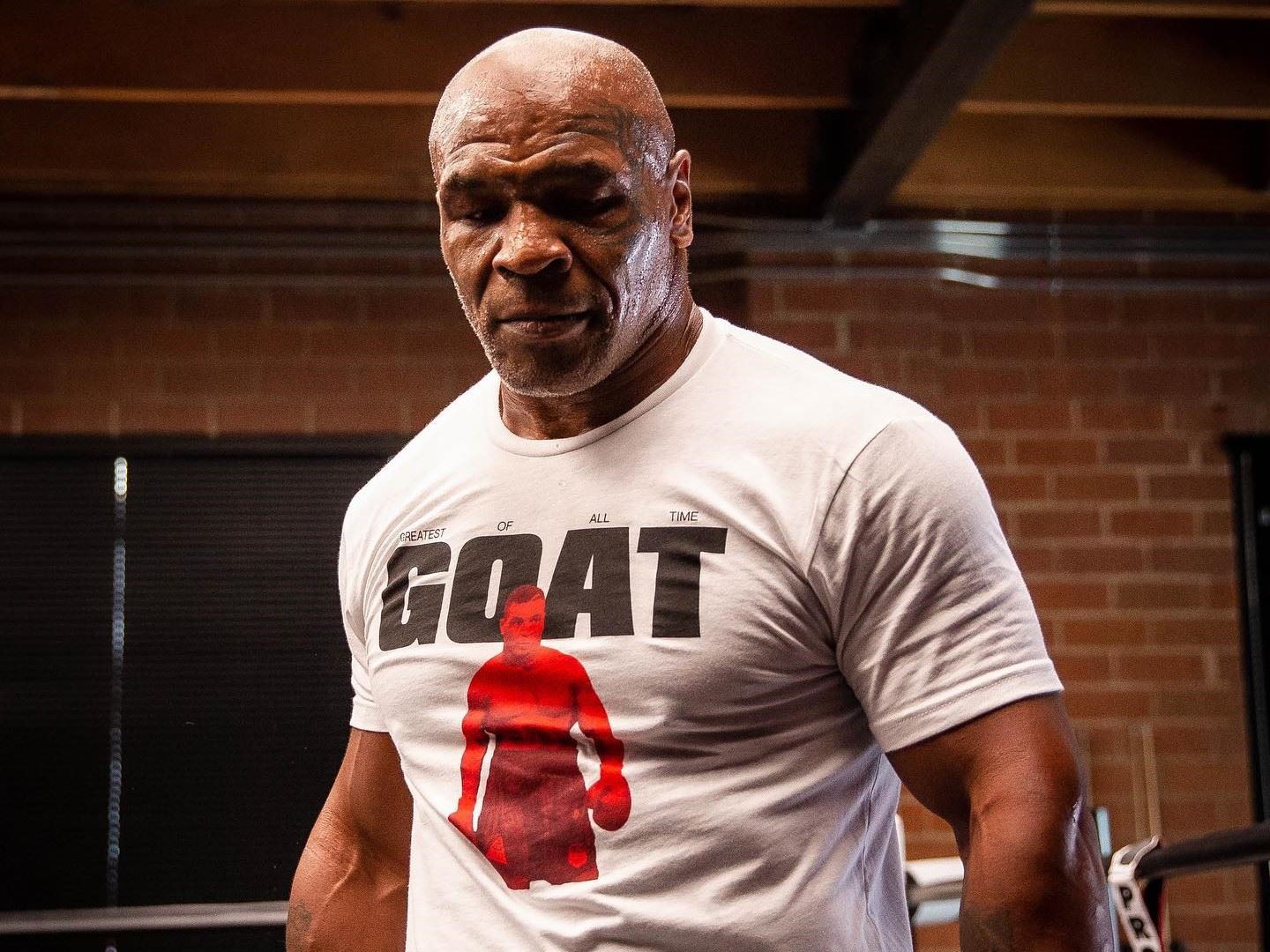 Tyson o UFC: Je sexy, ale zápasníci moc nevydělají. Nikdy nezbohatnou jako boxeři