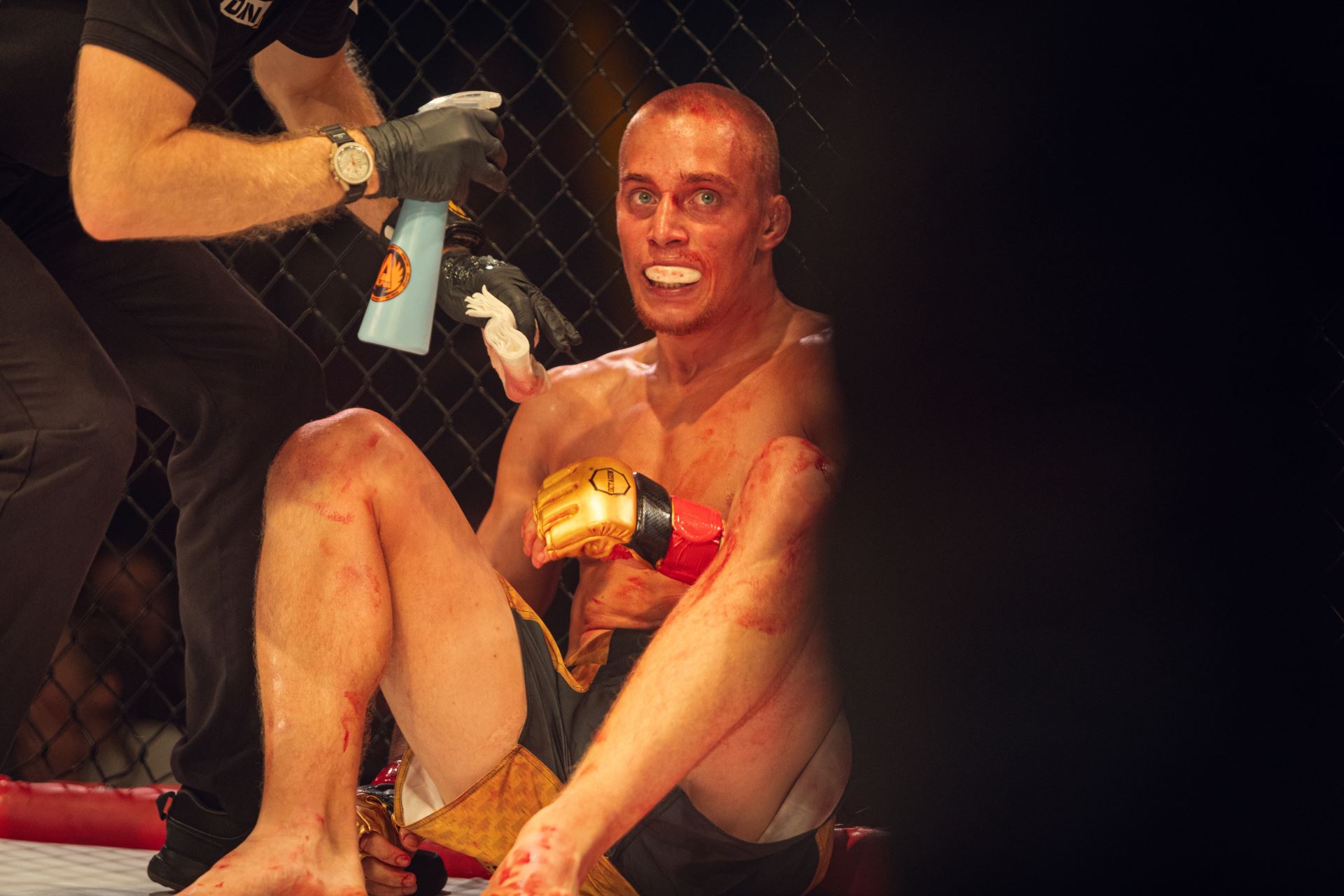 Fusion Fight League fanoušky v pátek v Brně bavil. 