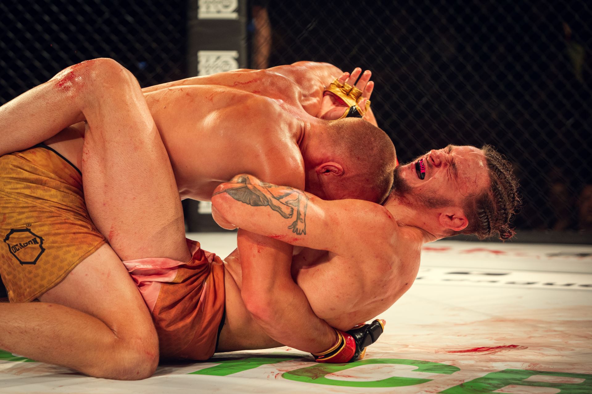 Fusion Fight League fanoušky v pátek v Brně bavil. 