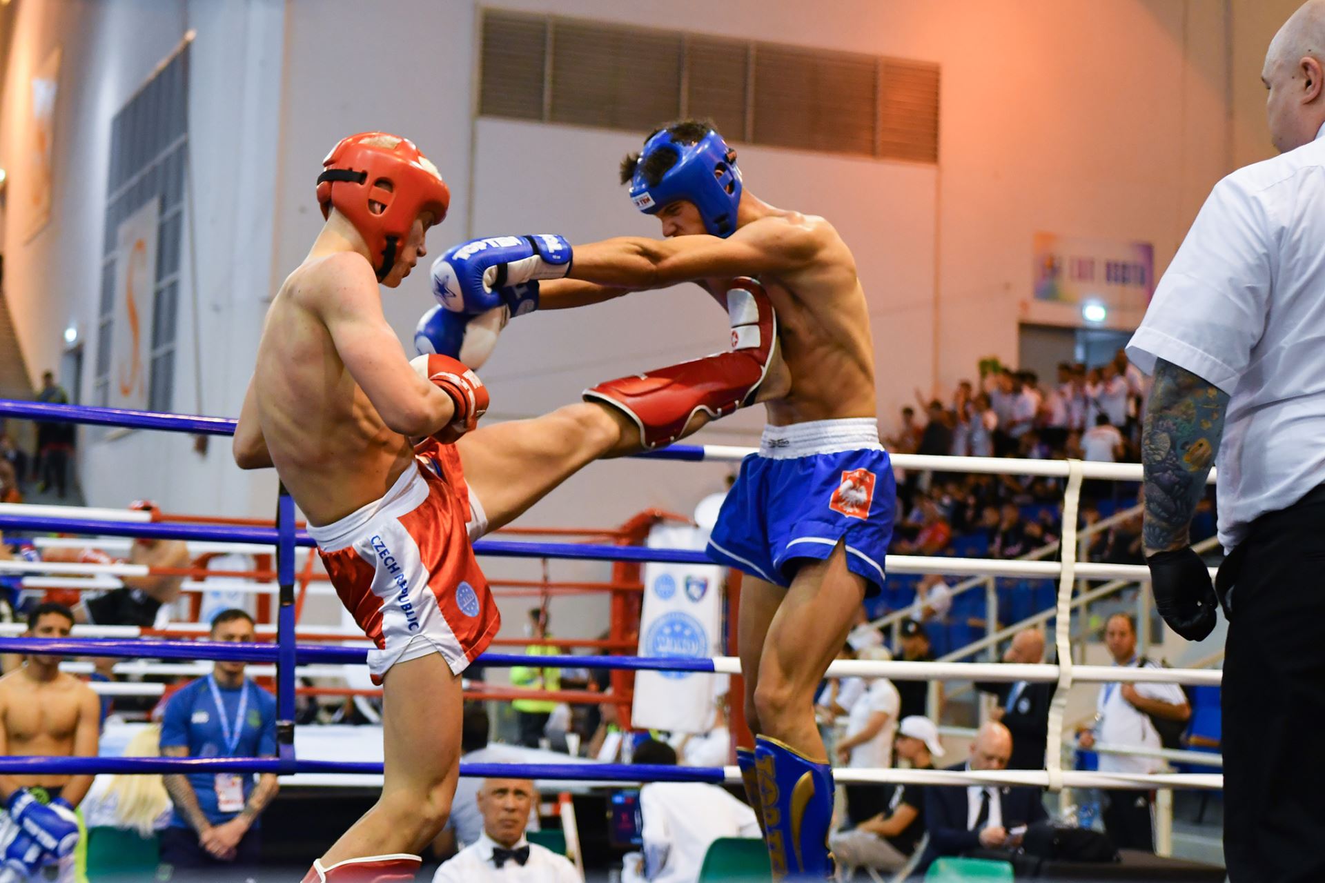 Kickbox, krásný a tvrdý sport.