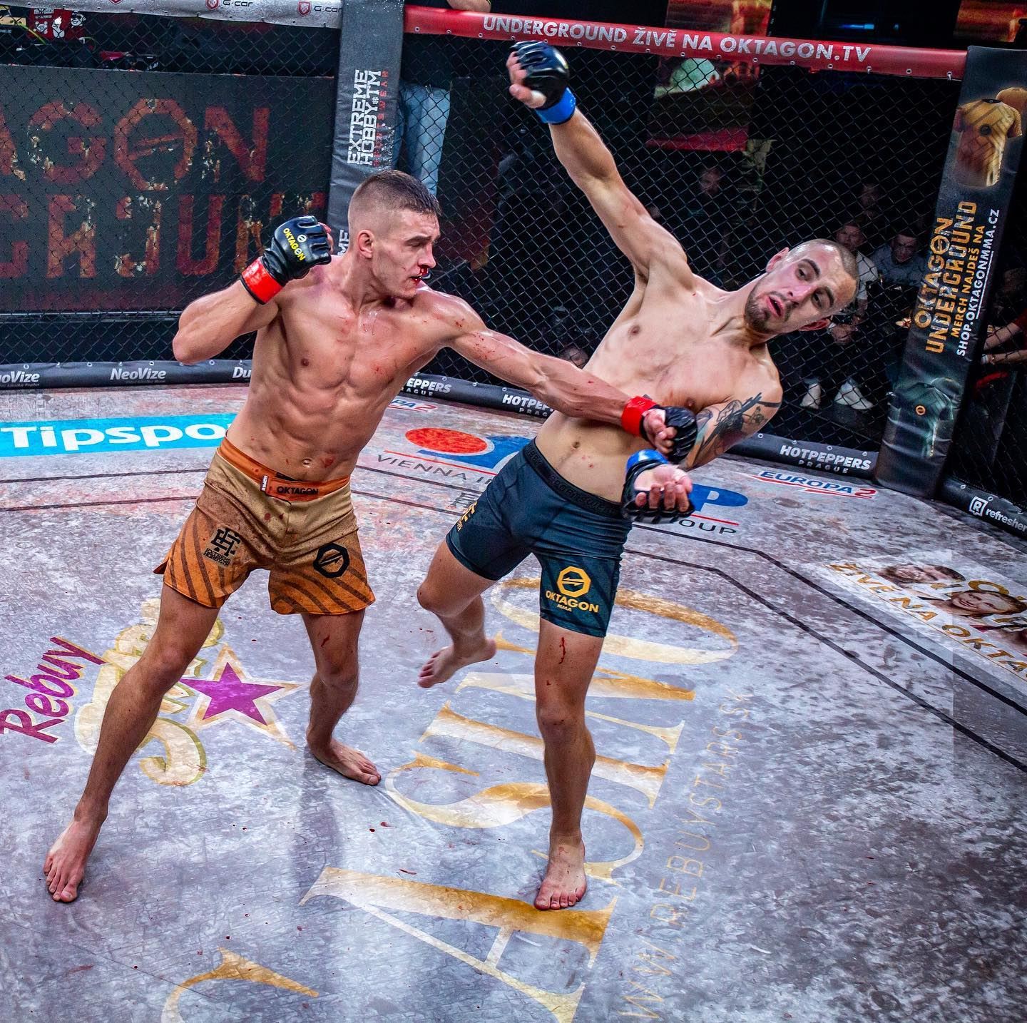 FOTO: OKTAGON MMA