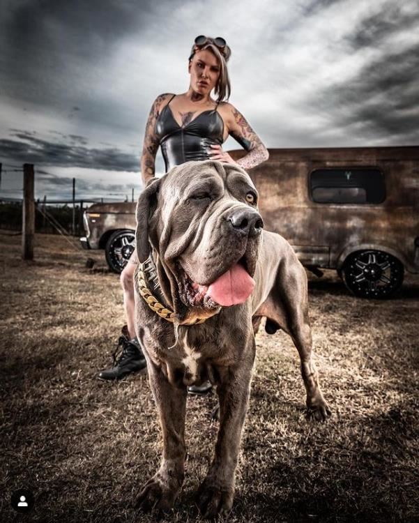 FOTO: instagram rowdybec