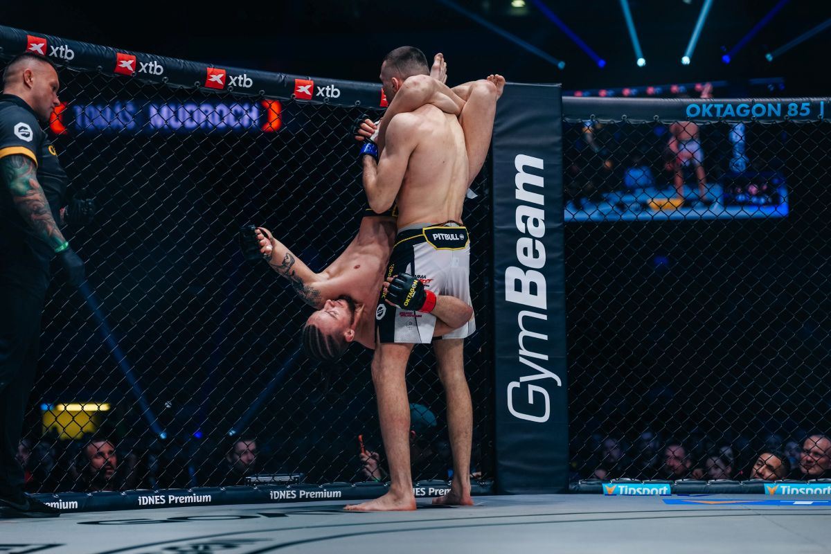 MMA má hodně podob.