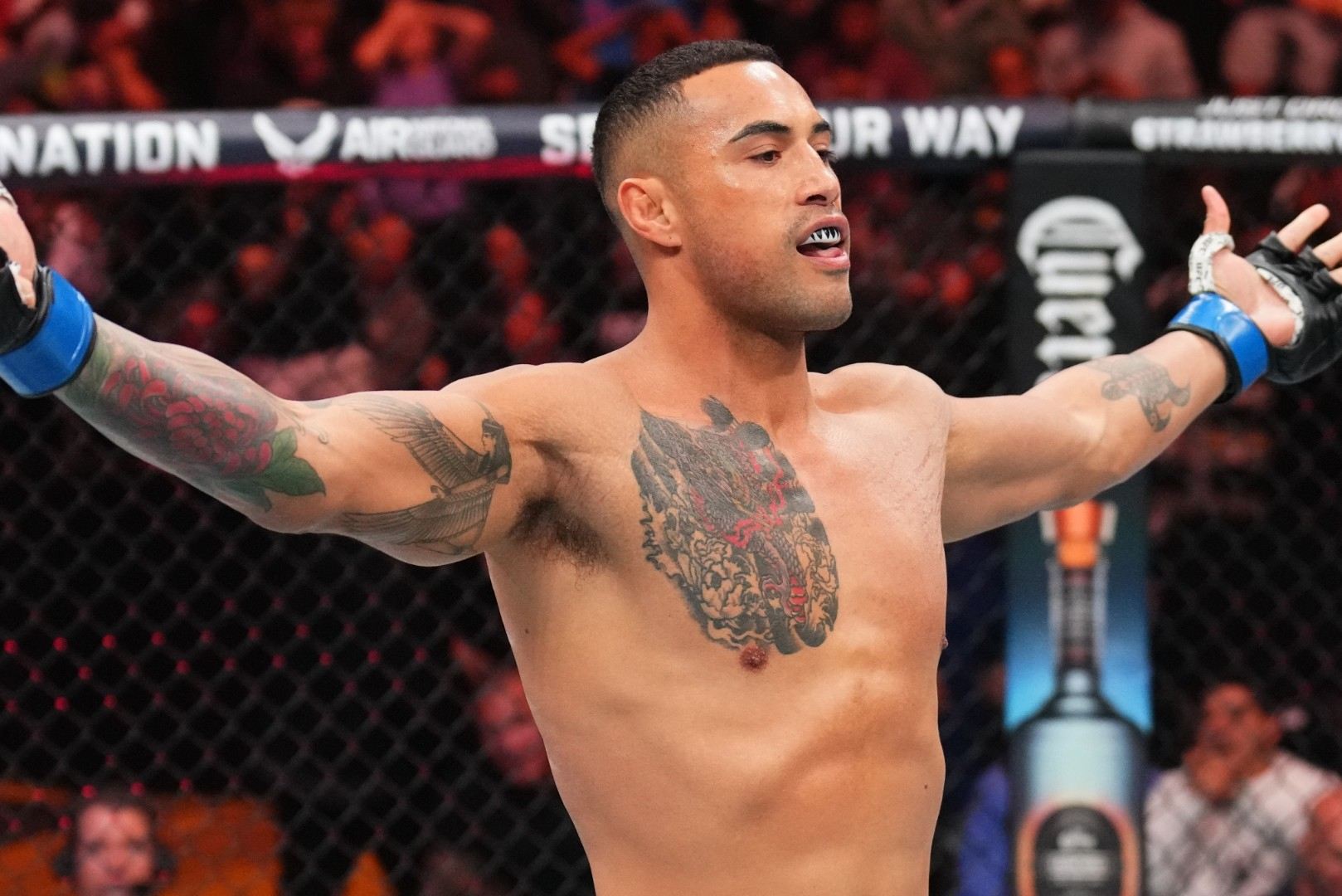 Carlos Ulberg v UFC.