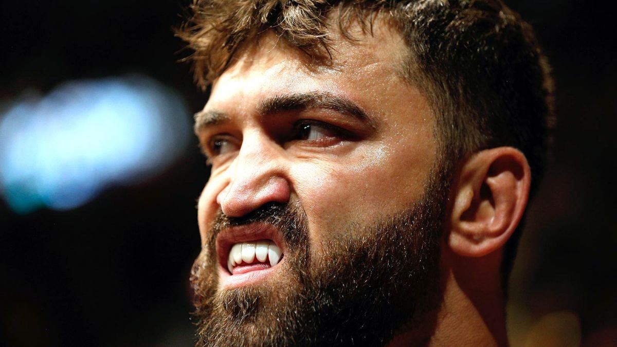 Andrei Arlovski v dobách UFC.
