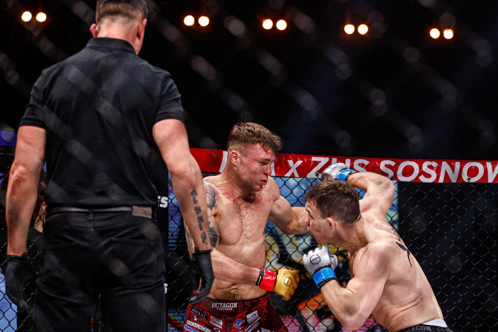 Jak dopadne další zápas?