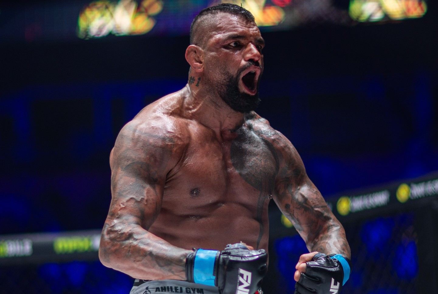 Hatef Moeil na FNC MMA.
