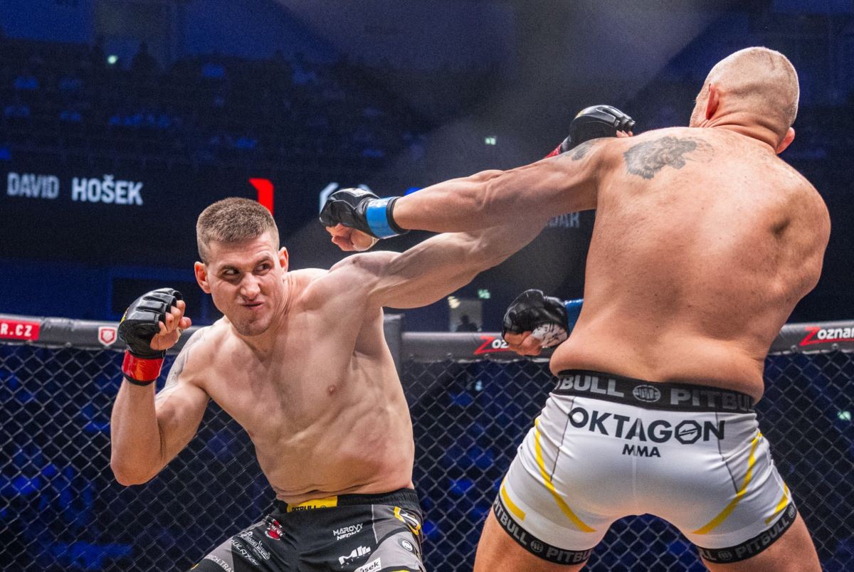 David Hošek se vrátil do Oktagonu.