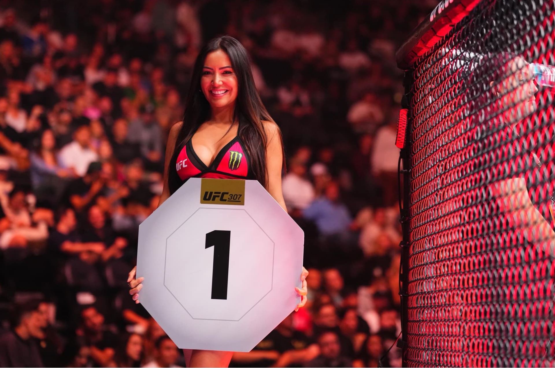 Luciana Andrade v UFC.
