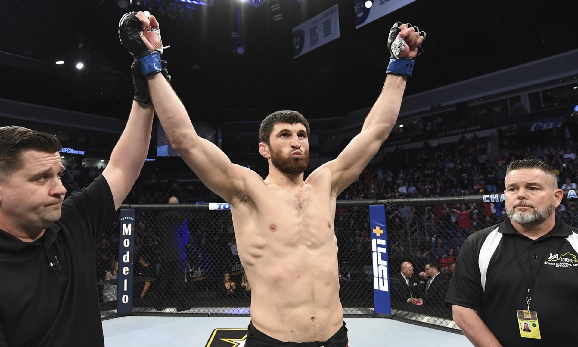 Magomed Ankalaev, kam se posune v polotěžké divizi UFC?