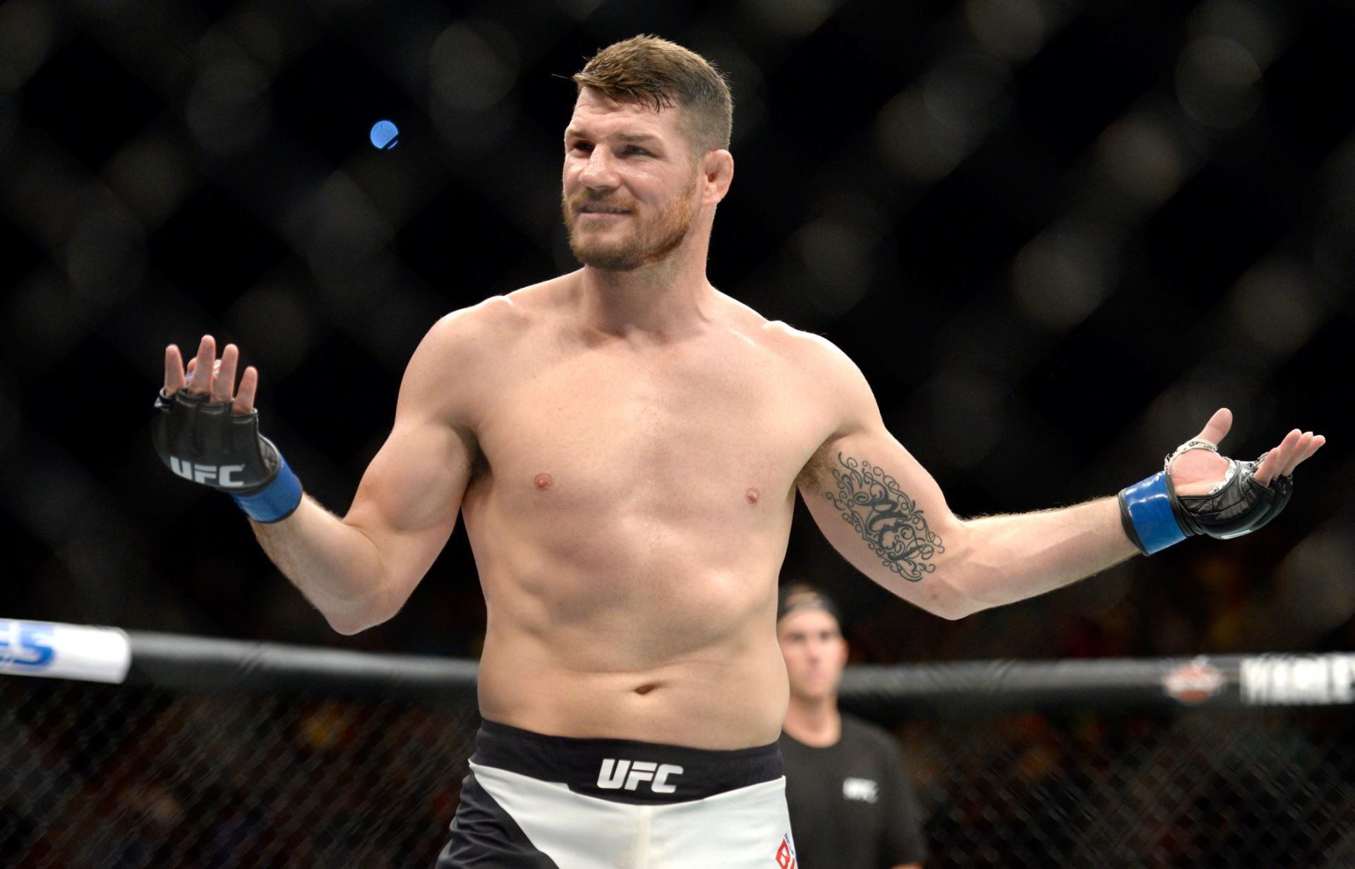 Michael Bisping v dobách bojů v UFC.