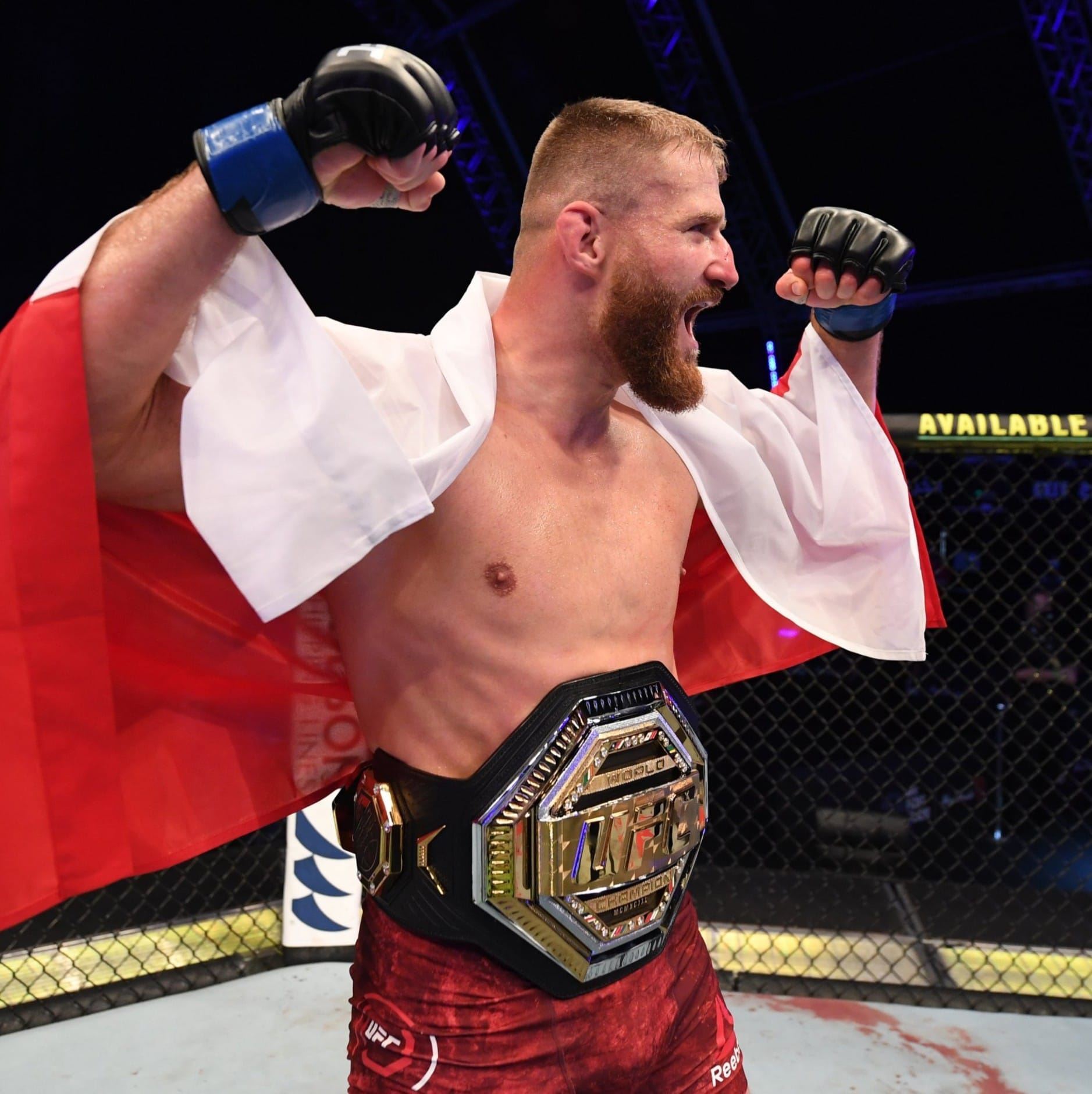 Zatím je králem polotěžké divize Jan Blachowicz.