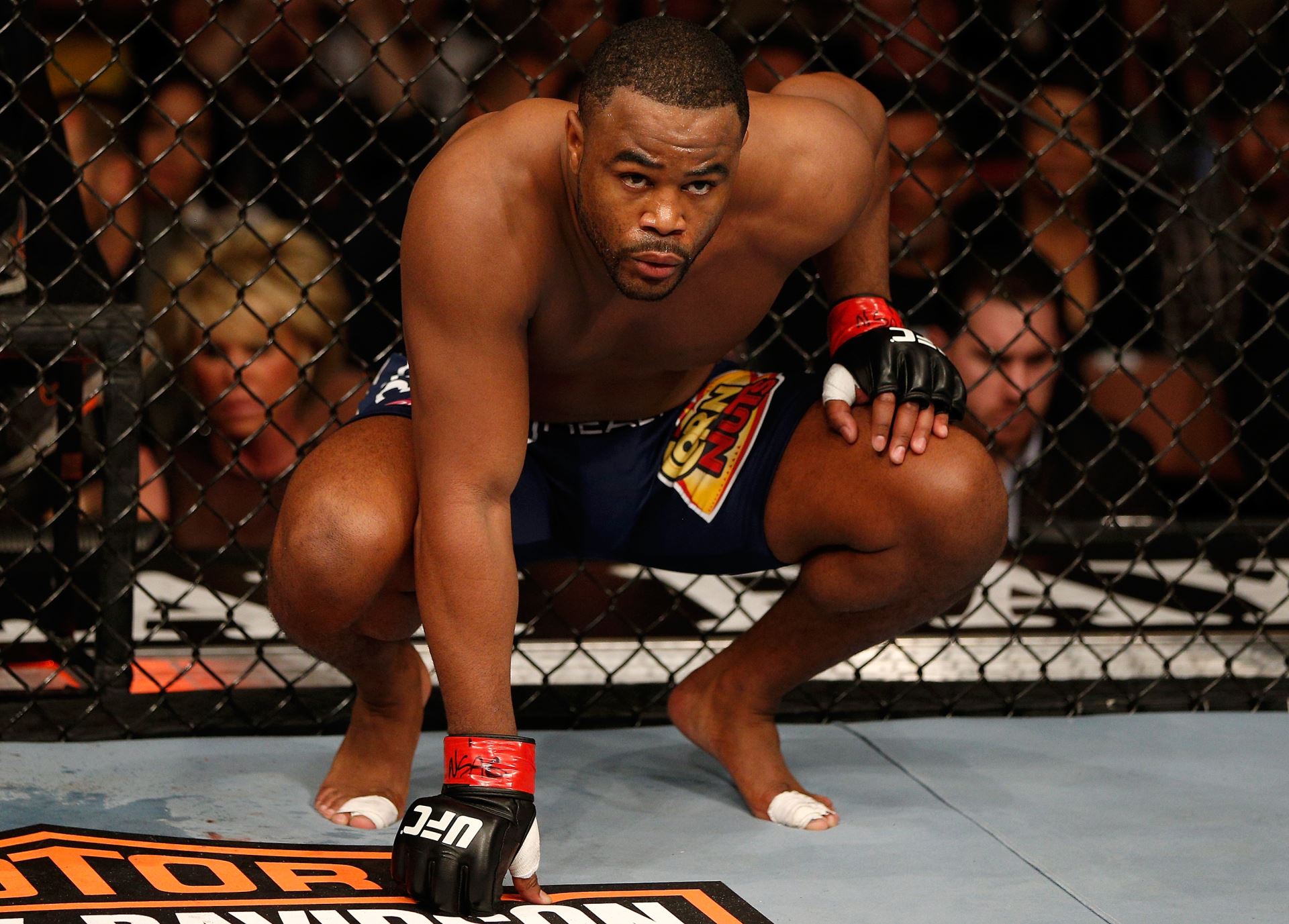 Rashad Evans se vrací.