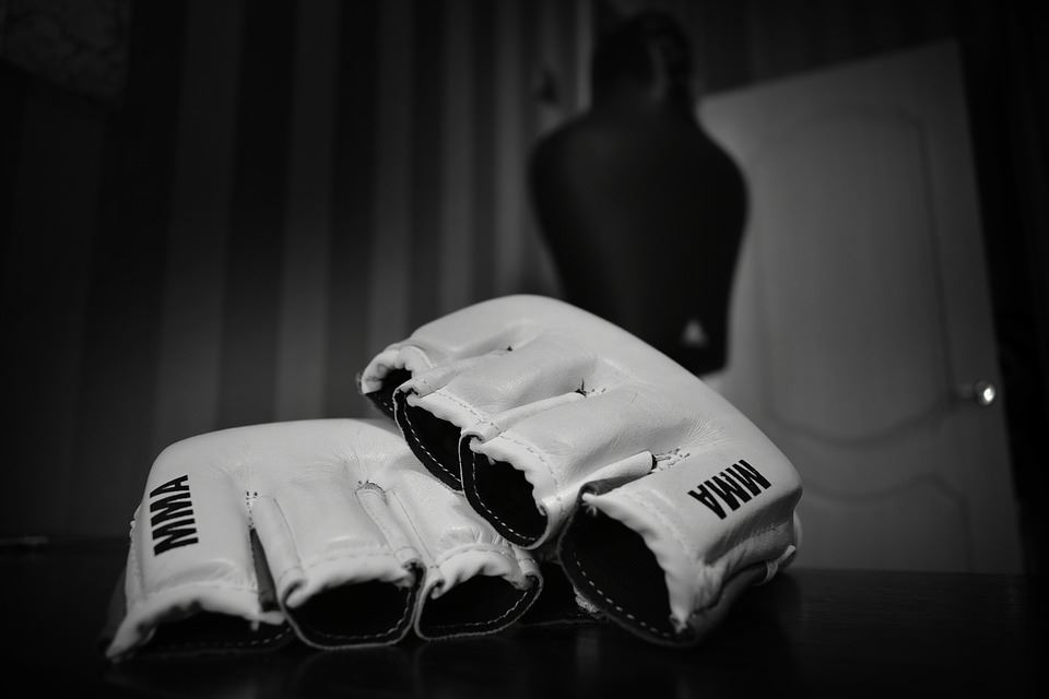 Kdo navlékne MMA rukavice organizace RFA?
