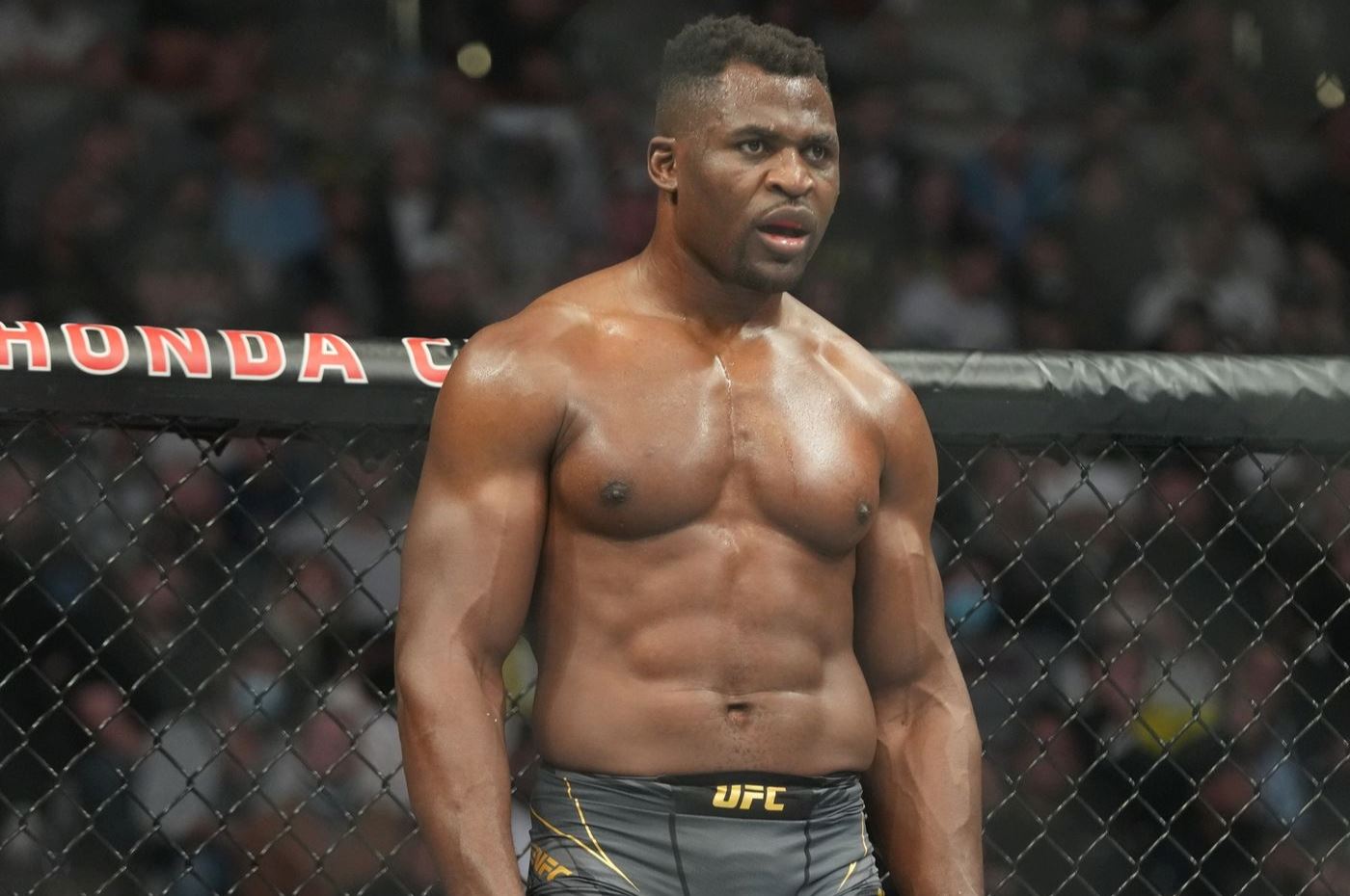 Francis Ngannou v zápase. Nyní má přibližně o 15 kilo více.