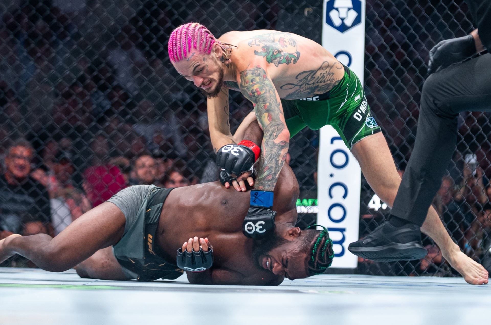 Nový šampion UFC.