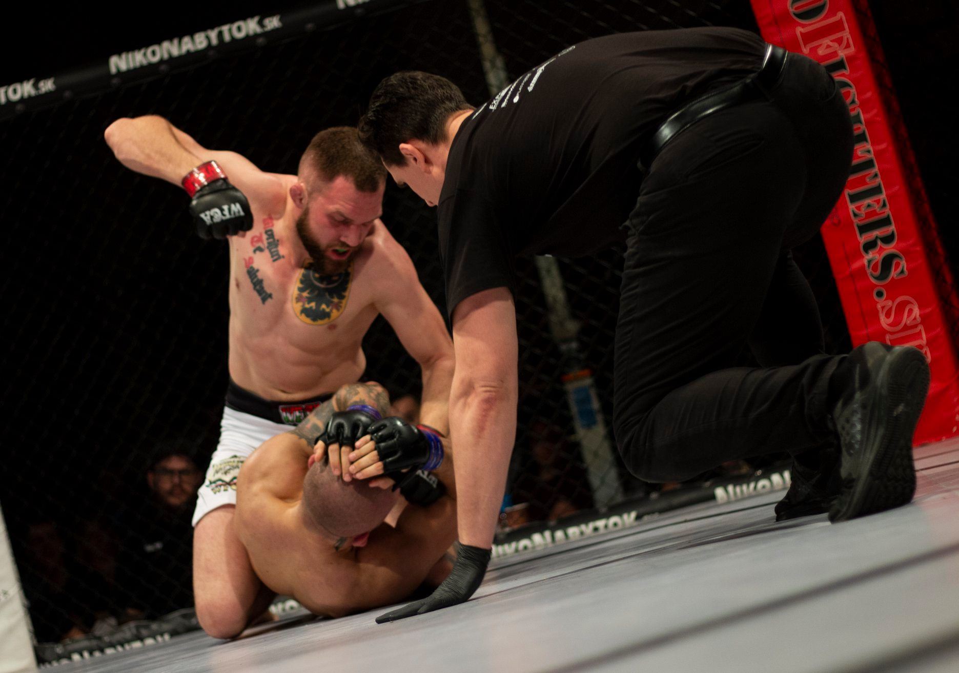 V sobotu nepůjde o MMA.