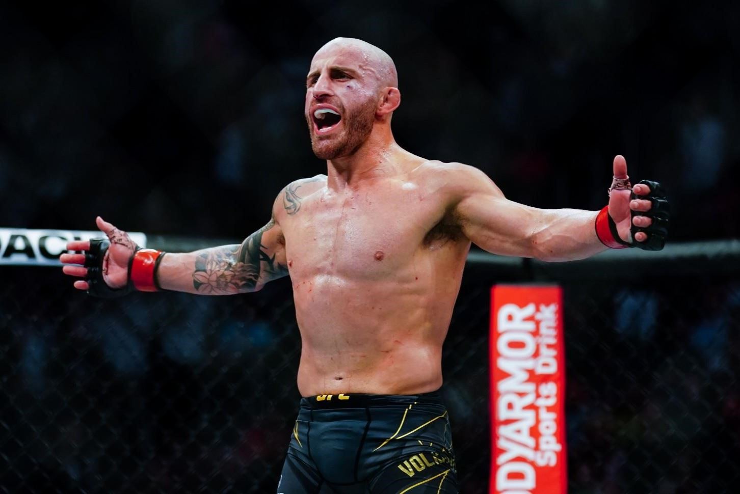 Alexander Volkanovski.