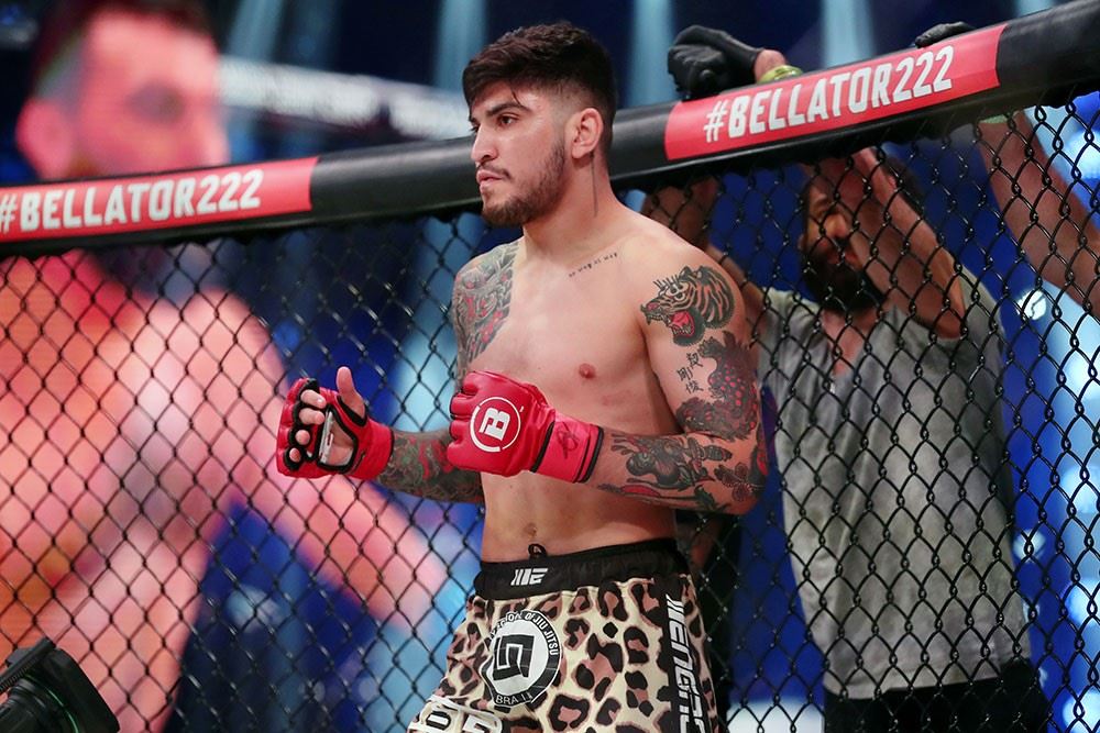 Dillon Danis pod organizací Bellator.