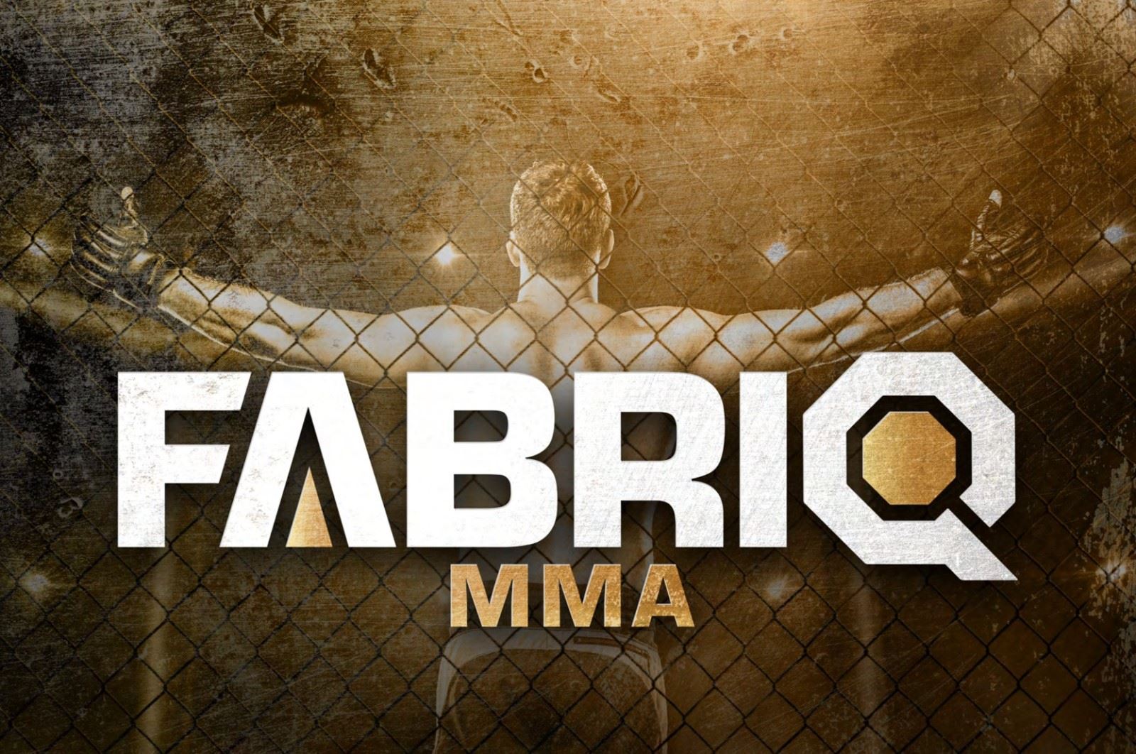 Nová organizace FABRIQ MMA.