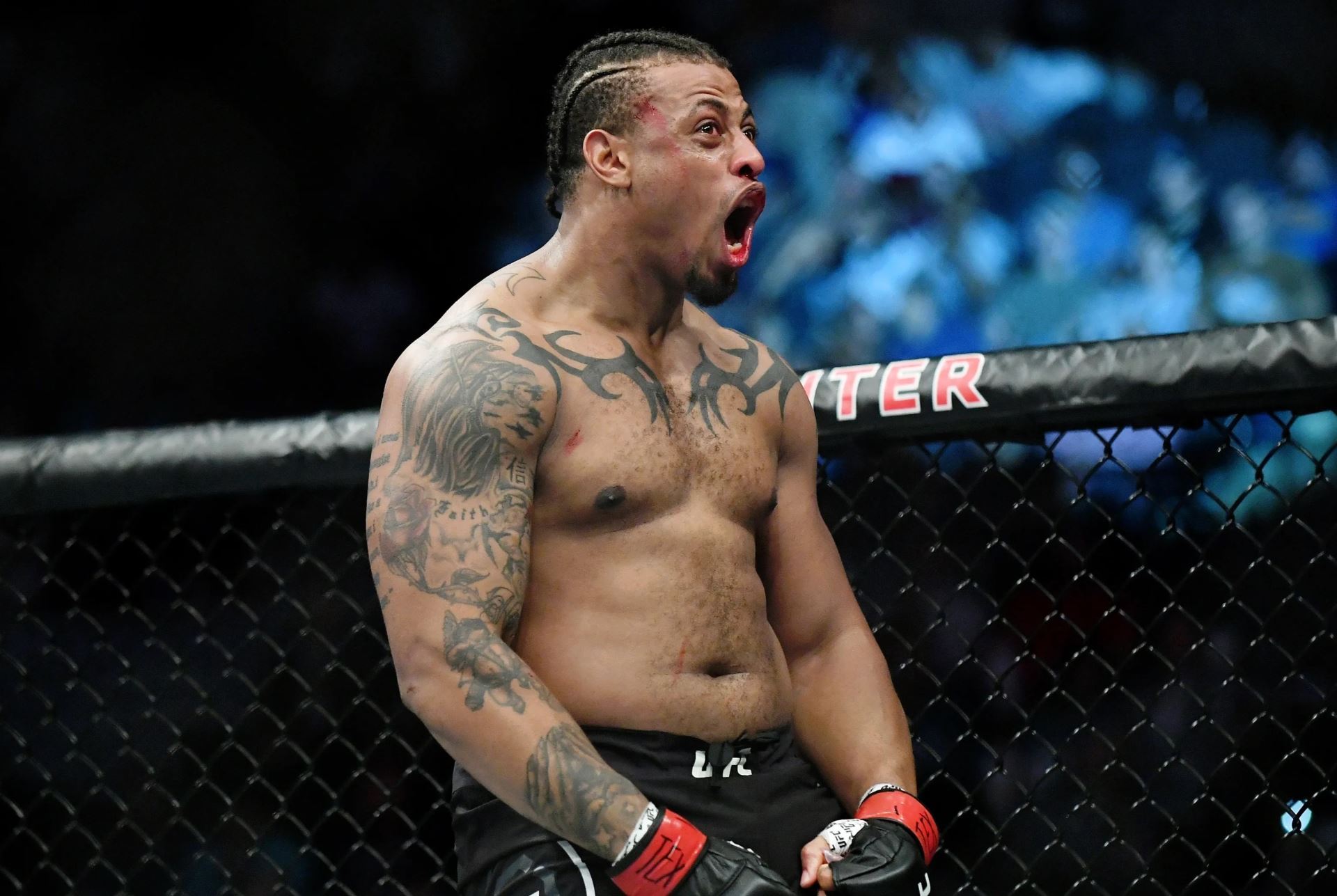 Greg Hardy v UFC.