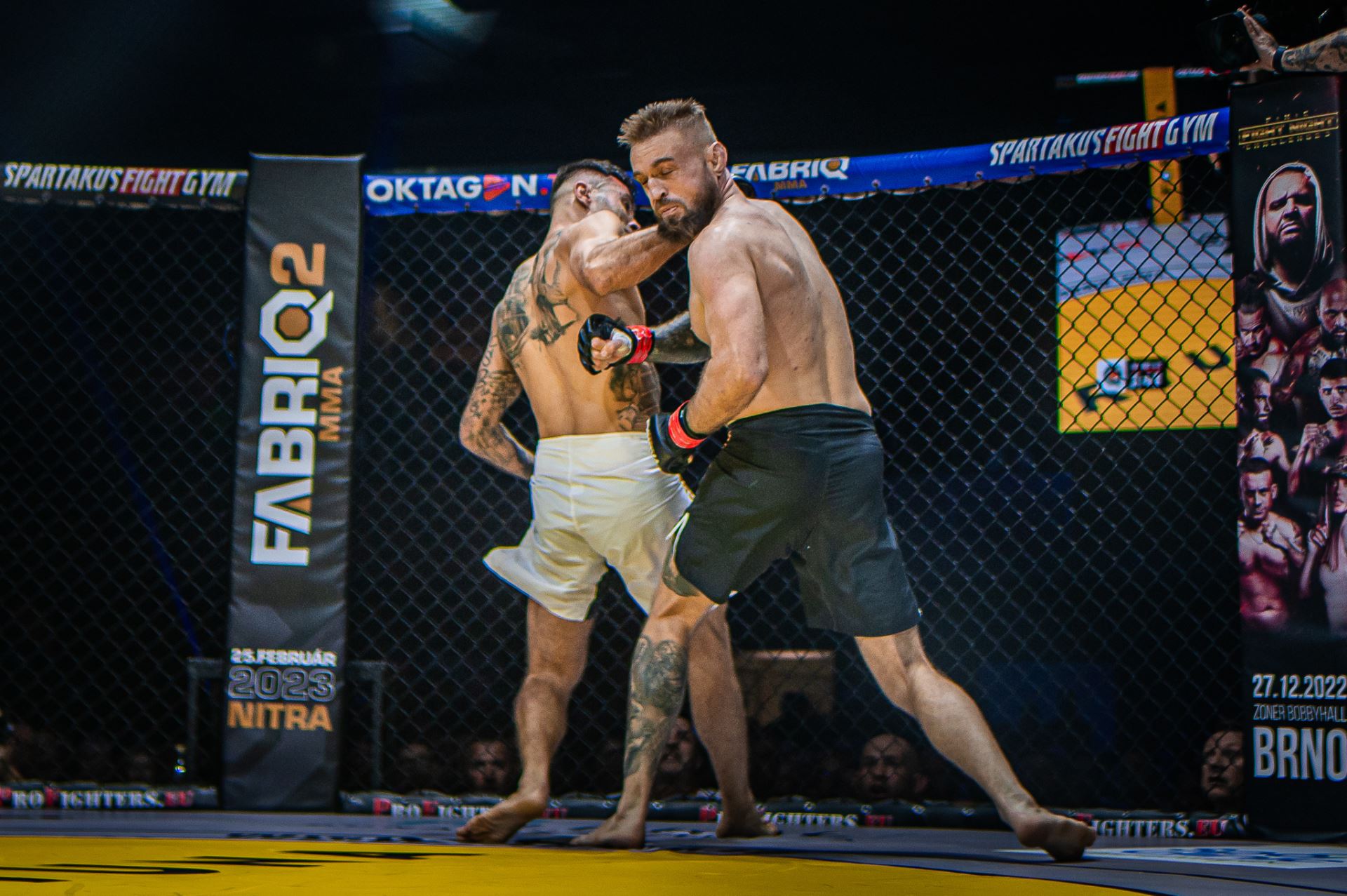 Co přinese druhý podnik organizace Fabriq MMA?