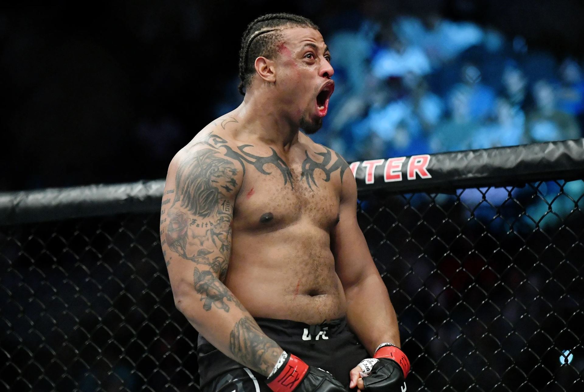 Greg Hardy ještě v dobách UFC.