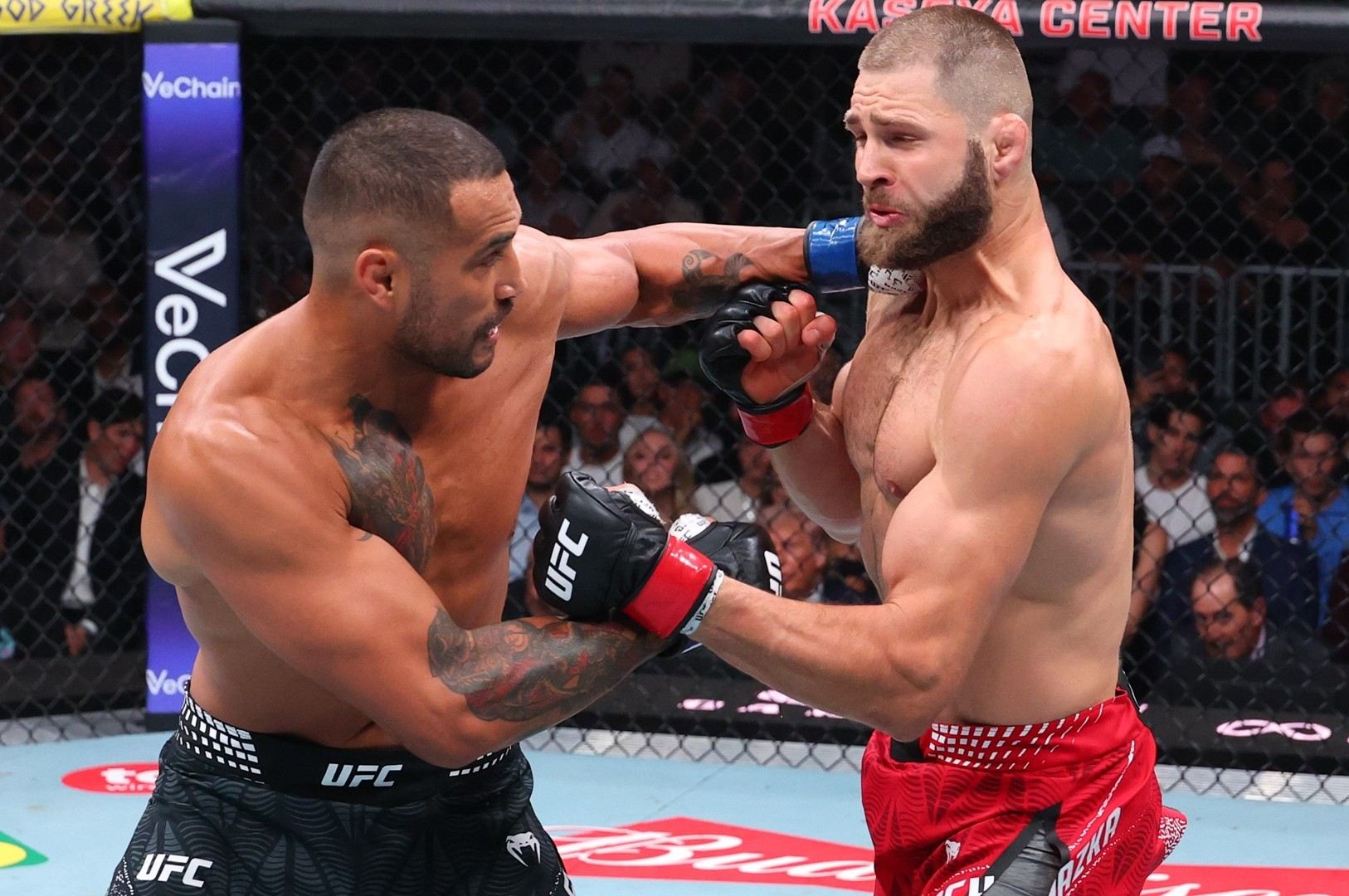 Titulový boj v UFC. 