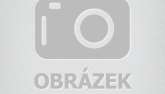 FOTO: Lingerie Fighting Championships