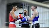 FOTO: Česká boxerská asociace - ČBA
