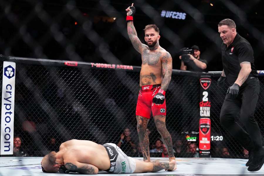 KO jednou ranou. Fanoušci UFC žasli