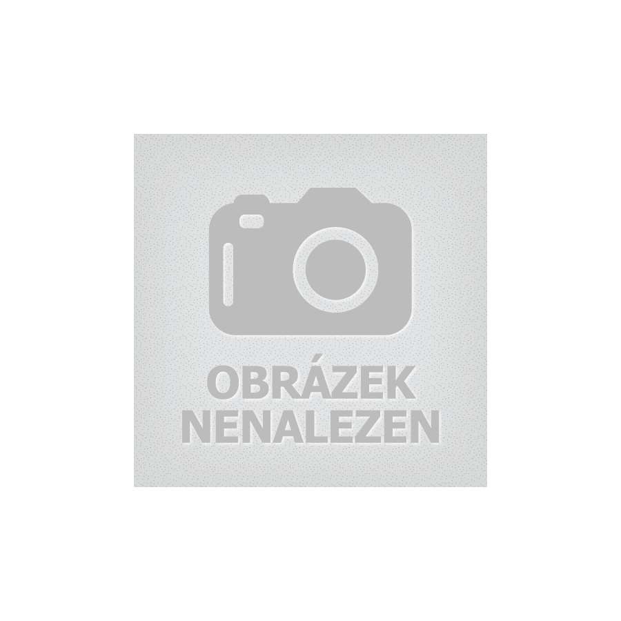 Osmadevadesát procent mužů mě nemůže porazit, troufá si Američanka. Víc ve světě boxu byl jen Ali