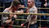 Box bez rukavic pořádá také organizace GROMDA.