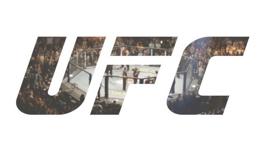 V květnu čekejte československou invazi. Tři bitvy tří neporažených bojovníků v UFC