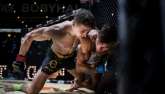 FOTO: OKTAGON MMA