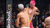Kozma vs. Brito a boj o titul.