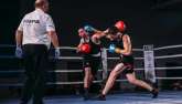 MBC Galavečer Boxu v prostorách Petrof Gallery v Hradci Králové.
