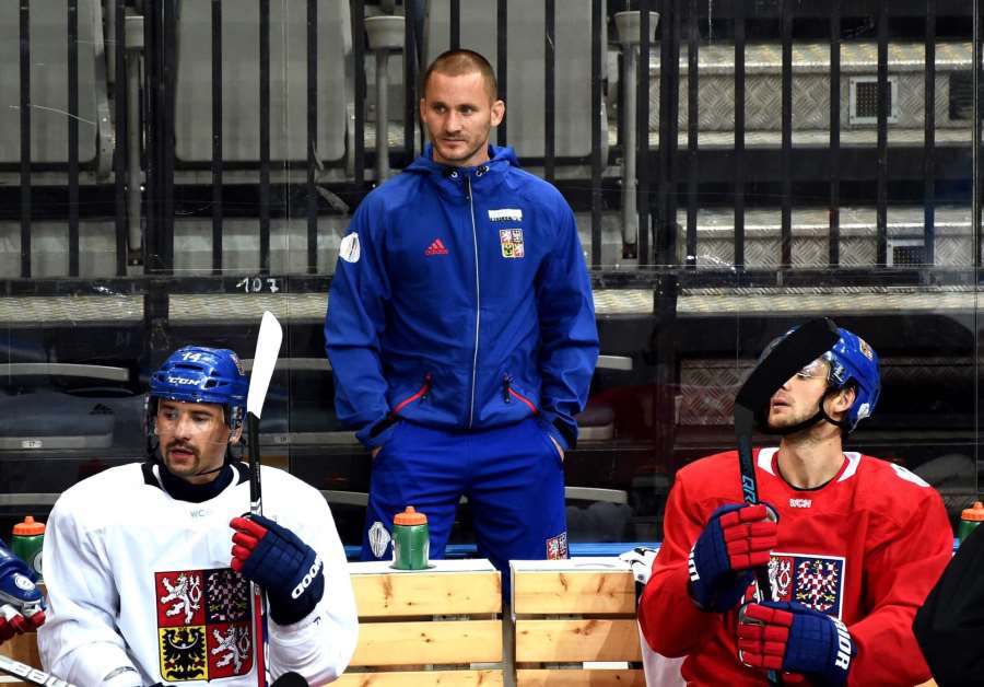 Dneska se mezi profíky MMA prosazuje víc byznys, říká Hamršmíd, který byl také trenérem u hokejové reprezentace