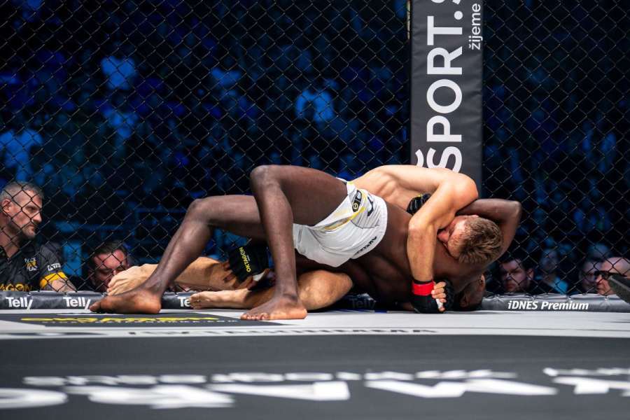 Usnul a nikdo to neviděl. Lenochod v Oktagonu za 83 sekund překvapil