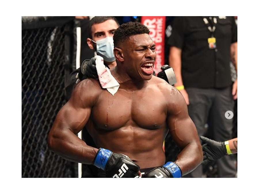 Otočka, kop a neskutečné KO v UFC. Ukončení roku?