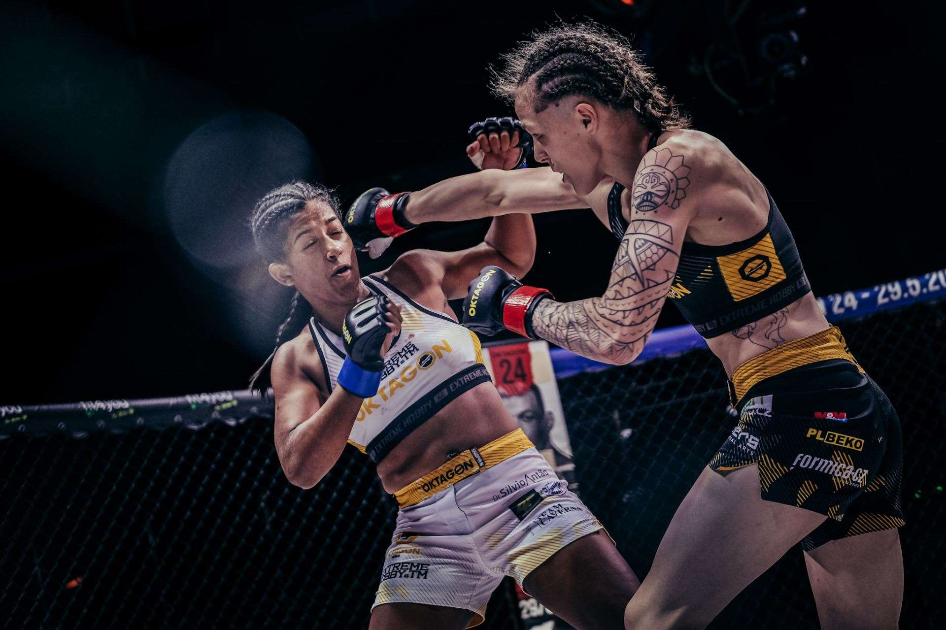 ZDROJ: OKTAGON MMA Brazilka by se ráda vrátila do Oktagonu